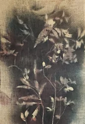 Faded Botanical Forms