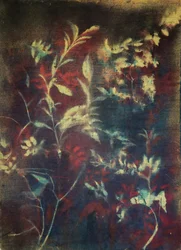 Moody Botanical Foliage
