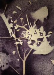 Purple Botanical Silhouette