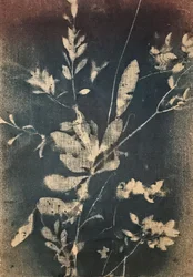 Vintage Blue Botanicals