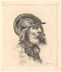 Bearded Man Wearing a Helmet in Three-Quarter Profile to the Right