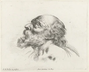 Head of a Bald Old Man with Beard, in Profile to the Left (possibly St. Peter)