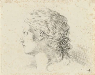 Head of a Woman, in Profile to the Left