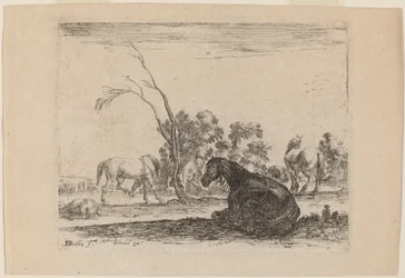 Horses in a Pasture