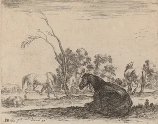 Horses in a Pasture