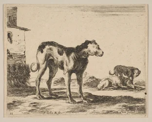 Plate 11: dogs, from Various animals Diversi animali, ca. 1641