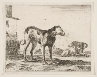 Plate 11: Dogs, from Various Animals, ca. 1641