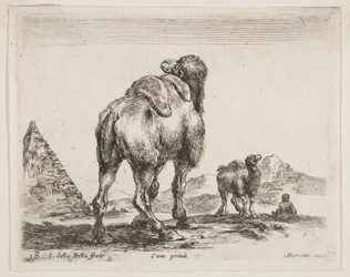Plate 18: camel viewed from behind with pyramid at left, from Various animals