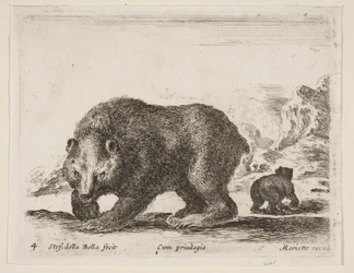 Plate 4: bear, from 