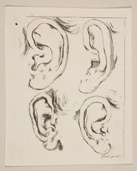 Plate 5: Four Ears, from The Book for Learning to Draw