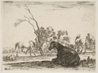 Plate 8: a seated horse to right, seen from behind and turned to the left, three other horses in the background