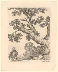 Rider Seen from Behind beneath a Large Tree