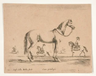 Riderless Horse, with Riders Doing Dressage in Background