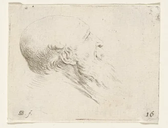 Head of a Bald Old Man