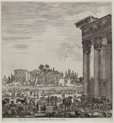 The Temple of Antonin and the Campo Vaccino