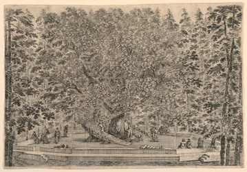 Tree with Two Spiral Stairs