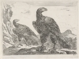 Two Eagles with Heads to the Right