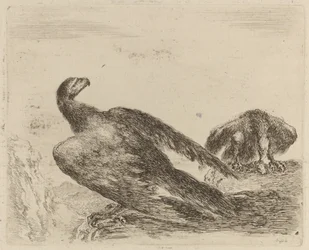 Two Eagles on a Promontory