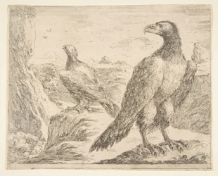 Two eagles, from Eagles Les aigles