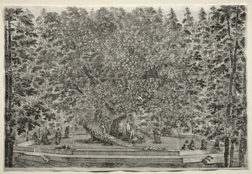 Views of the Villa of Pratolino: The Inhabited Tree