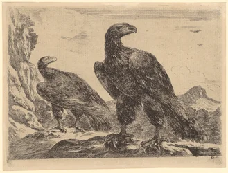 Two Eagles by a Rock Wall, Plate 5 of the Series "Eagles"