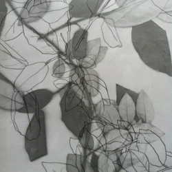 Botanical