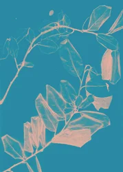Freyr VI Dawn, 2018