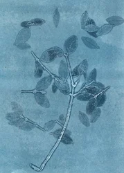 Midnight Garden I