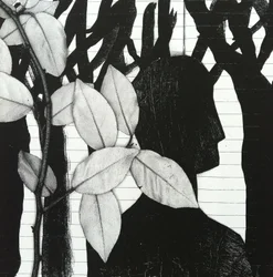 The Woods