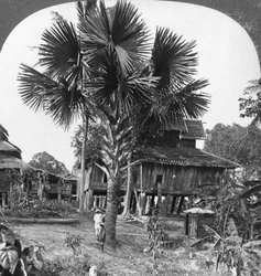 Native house built on piles, Bhamo, Burma, 1908