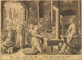 Silk Extraction Vermis Sericus, after 1640