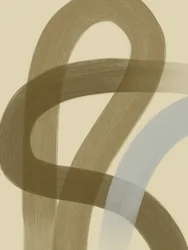 Abstract Flowing Curves