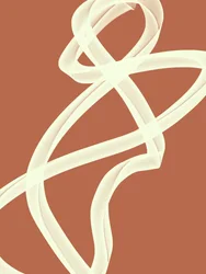 Flowing Abstract Lines