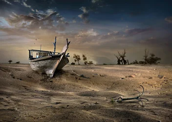 Forgotten Desert Boat