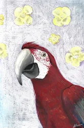 Tropical Macaw Blooms
