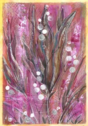 Vibrant Magenta Botanicals