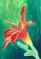 Vibrant Orange Lily