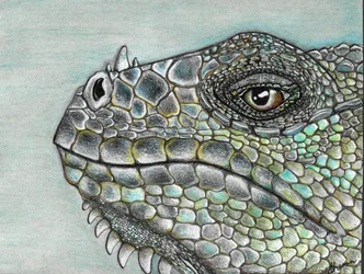 Vivid Iguana Scales