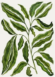 Organic Green Leaves