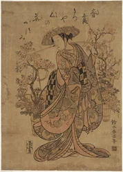 A Flower Vendor