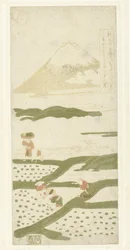 Rice Planters