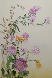 Chrysanthemums, 2022