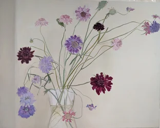 Glorious Scabious, 2021