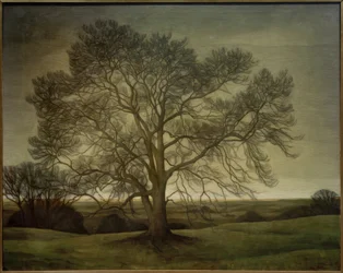 Landscape 1901