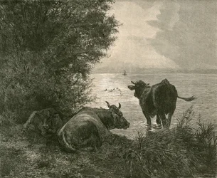 Early Morning on the Lake of Zurich