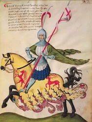 Giovanni Cerva dei Transelgardi