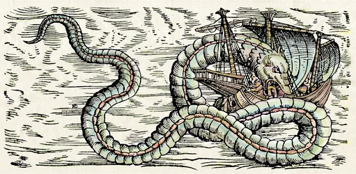 Sea Monster, illustration from 