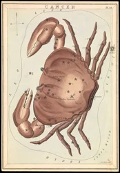 Cancer, c.1825