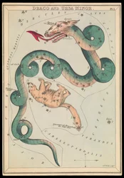Draco and Ursa Minor