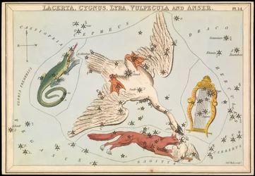 Lacerta, Cygnus, Lyra, Vulpecula and Anser, c.1825